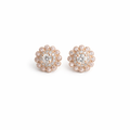 Anti Tarnish CZ Earring 5