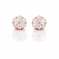 Earrings-EA1223