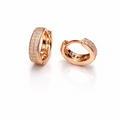 Earrings-EA1297