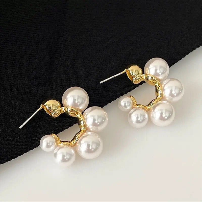 Earrings-EA1041