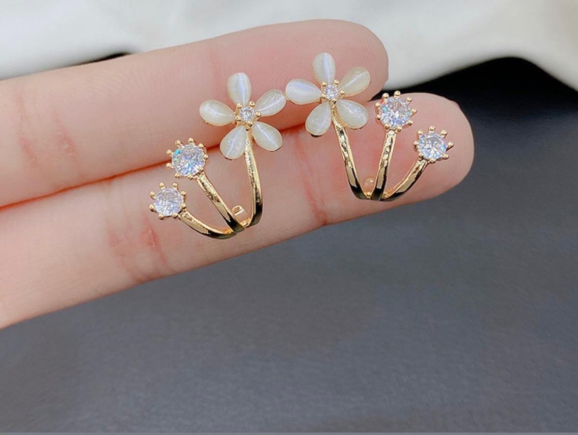Earrings-EA1046