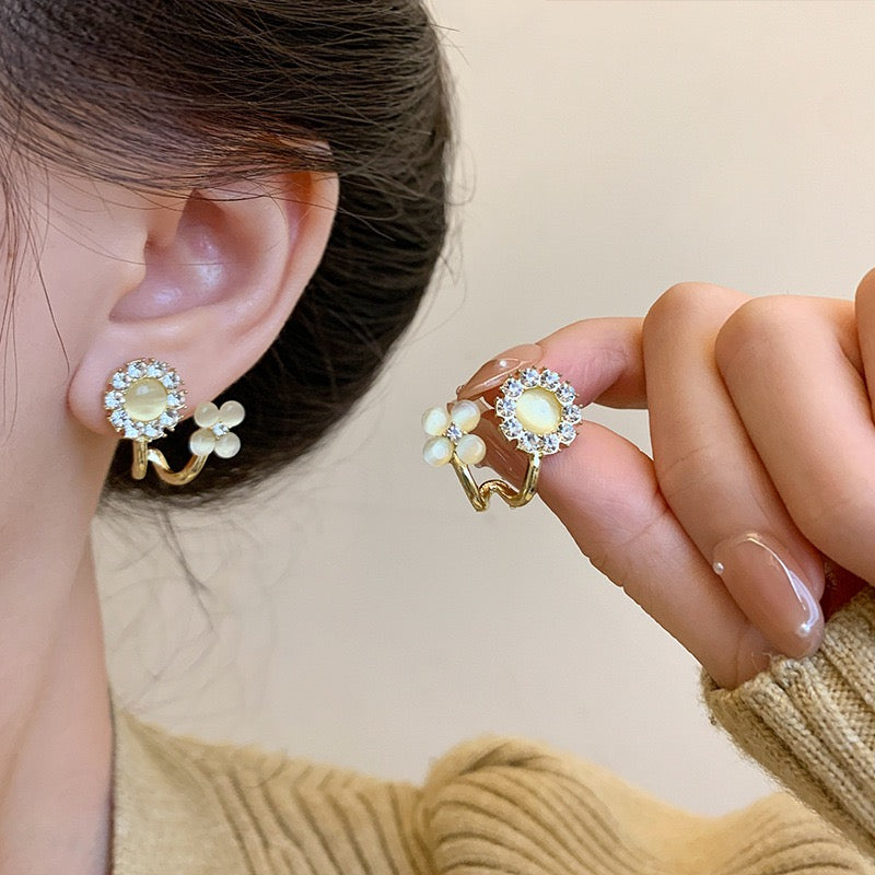 Earrings-EA1117