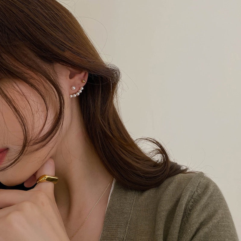 Earrings-EA1060