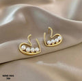 Earrings-EA1017