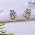 Earrings-EA1067