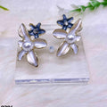 Earrings-EA1118