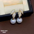 Earrings-EA1039