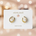 Earrings-EA1100