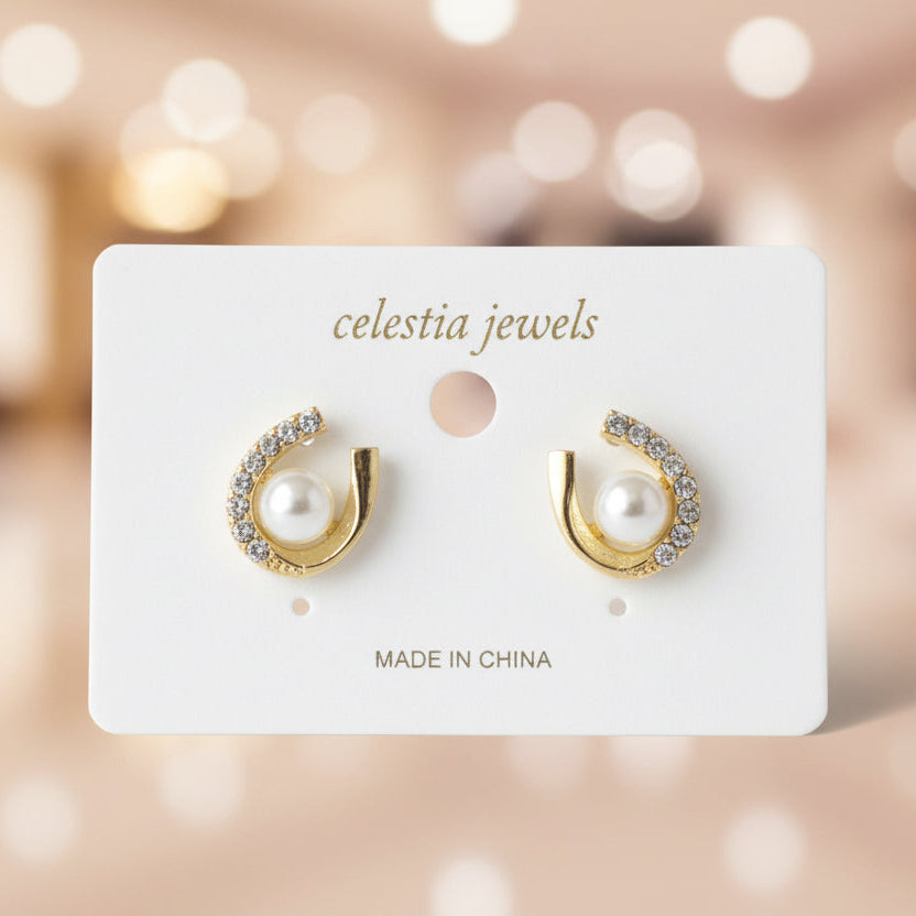Earrings-EA1100