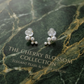 Earrings-EA1011