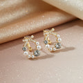 Earrings-EA1066