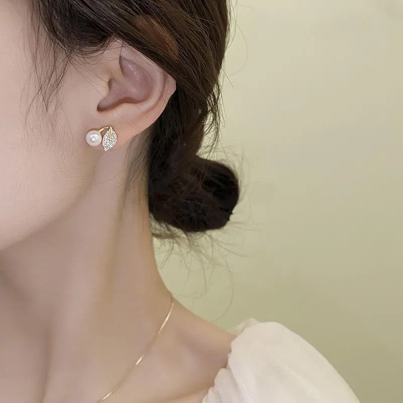 Earrings-EA1012